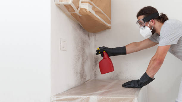 Professional Bathroom Mold Removal technician working in Roseland, NJ